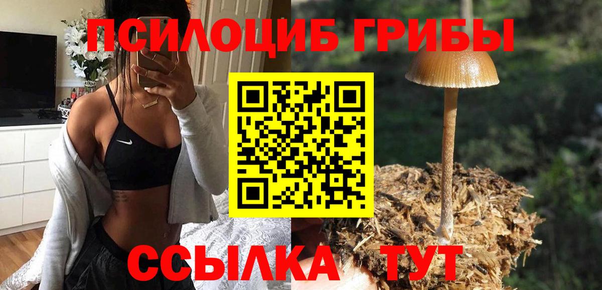 Псилоцибиновые грибы прущие грибы Ивантеевка